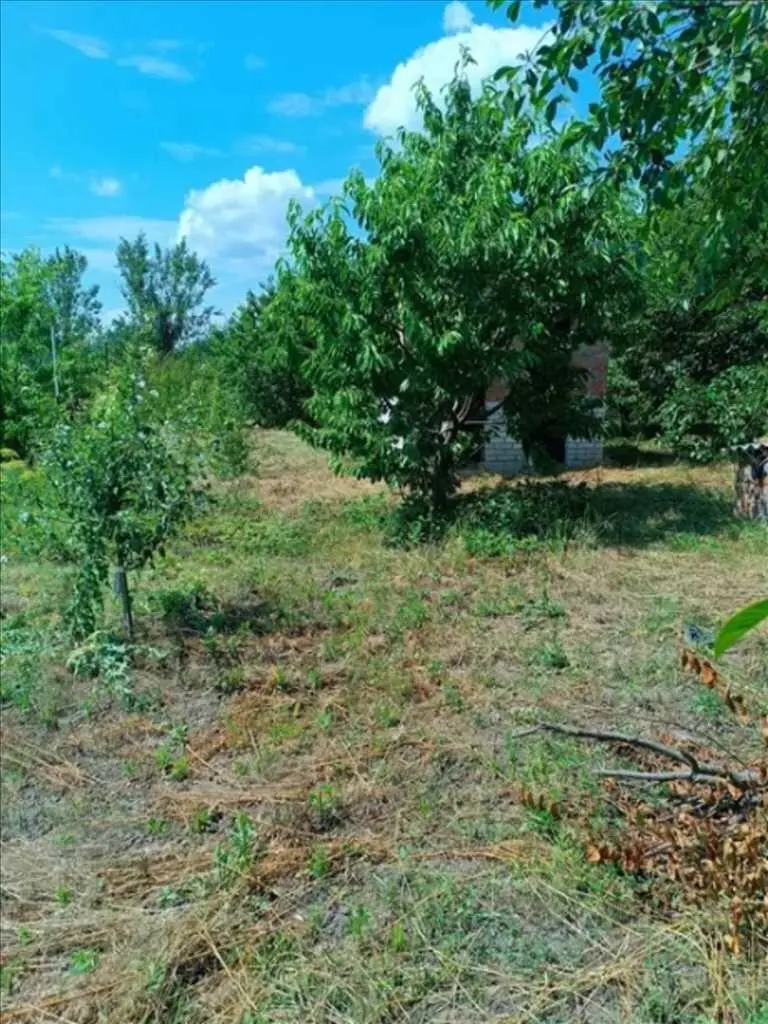 Земельна ділянка 30+25 сотих  в передмісті Полтави