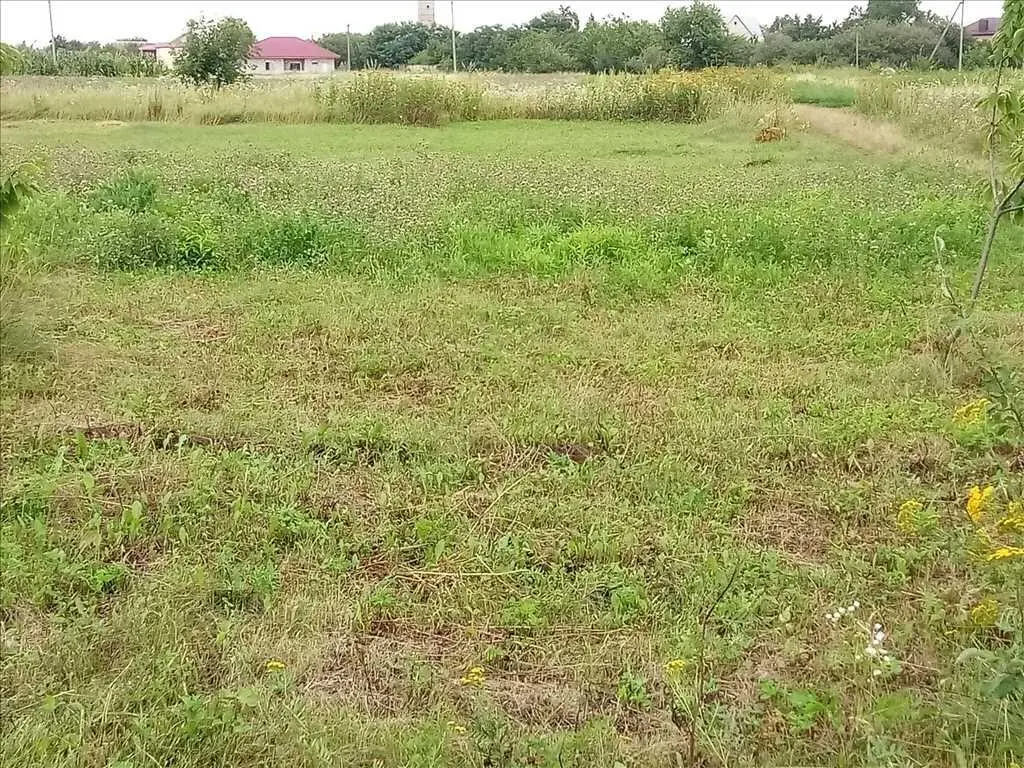 Доглянута ділянка з садом  в Гожулах. 