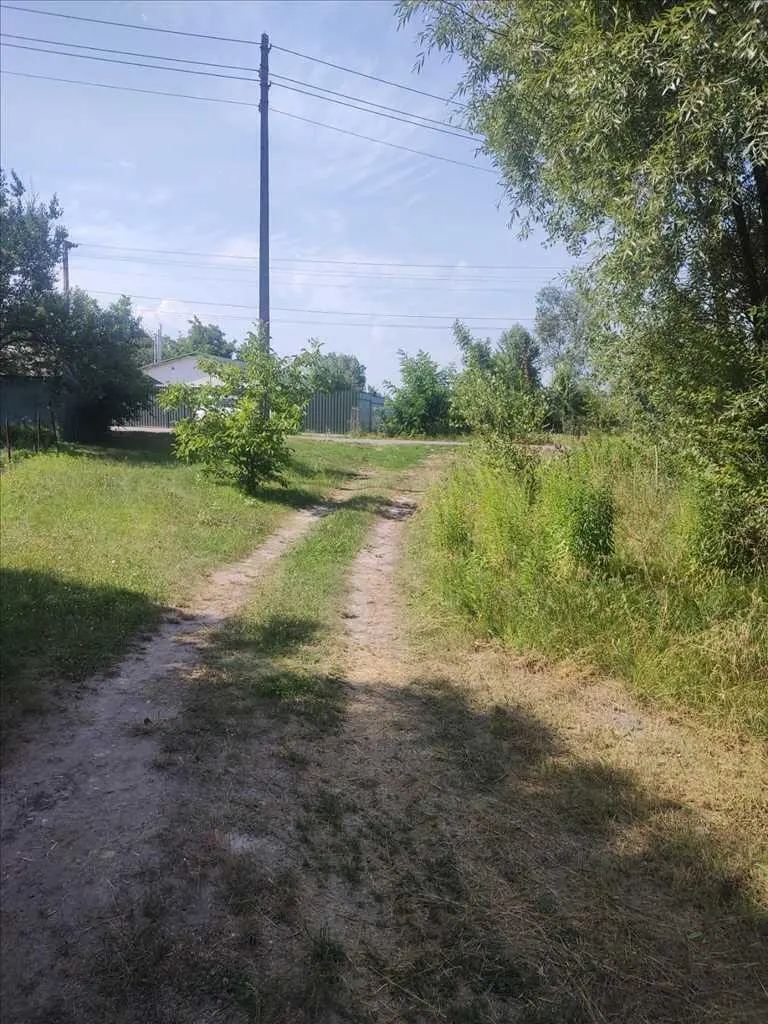 Вороніна. Чотири ділянки в гарній локації.