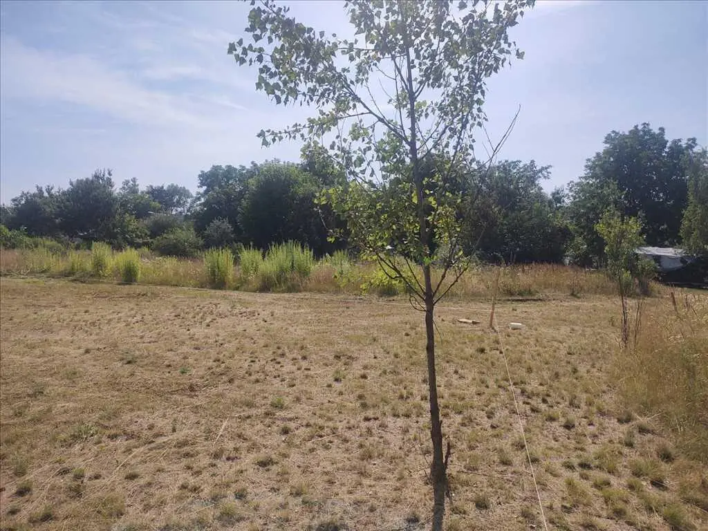 Вороніна. Чотири ділянки в гарній локації.