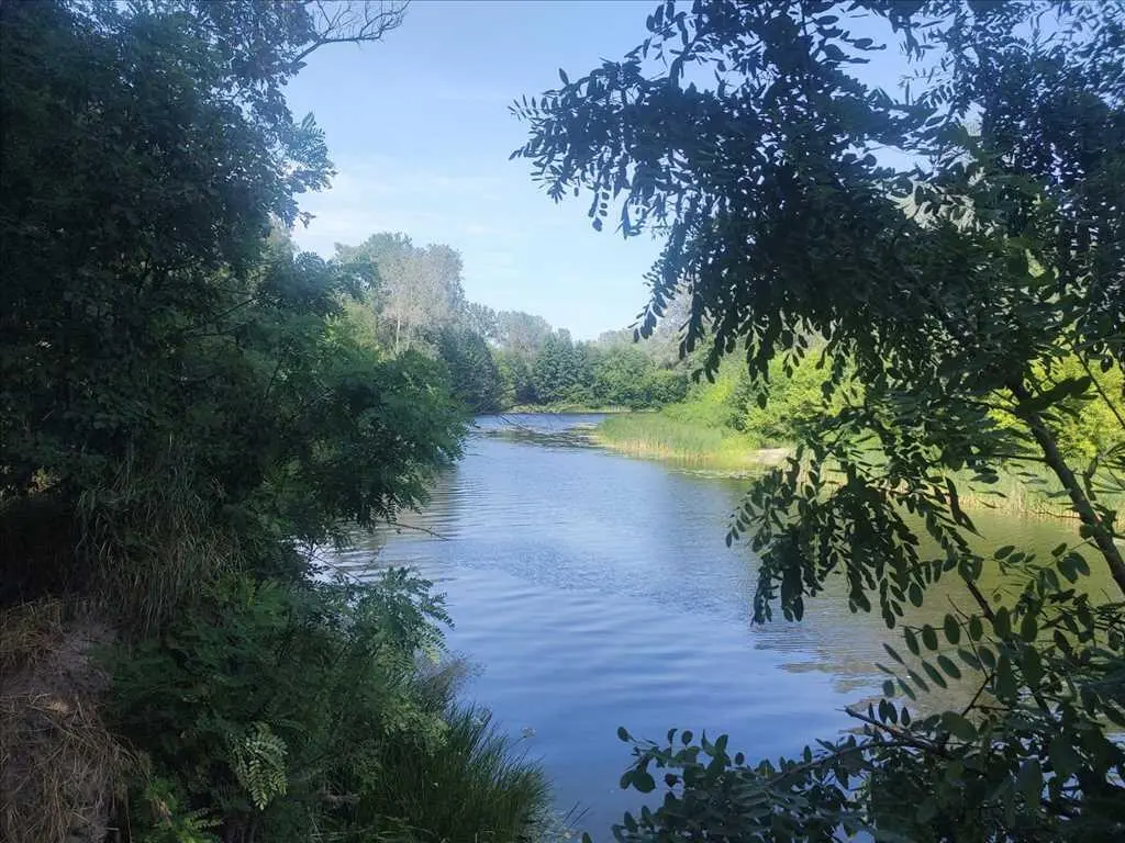 Вороніна. Чотири ділянки в гарній локації.