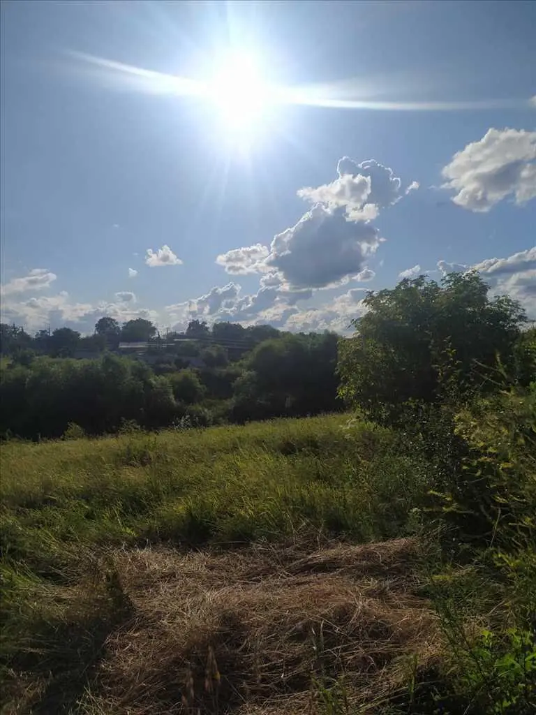 Ділянка в Гожулах з чудовим краєвидом!