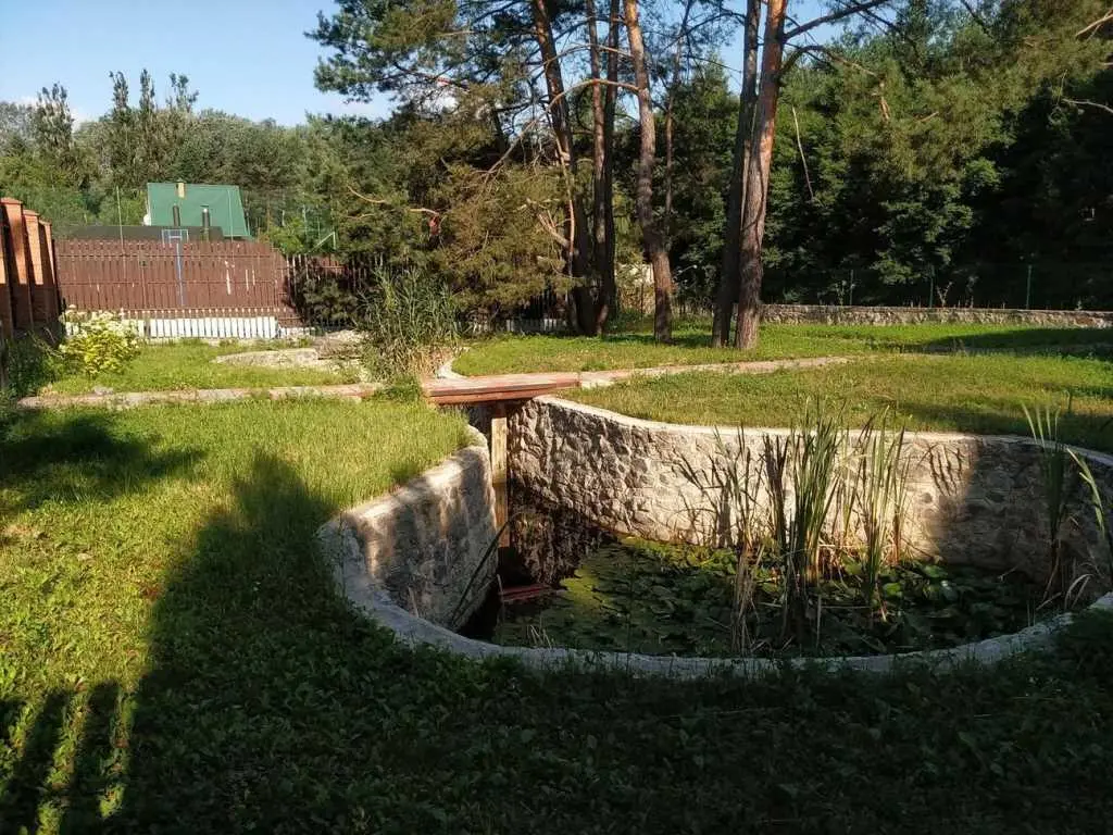 Річка, ліс, тиша та наш будинок!