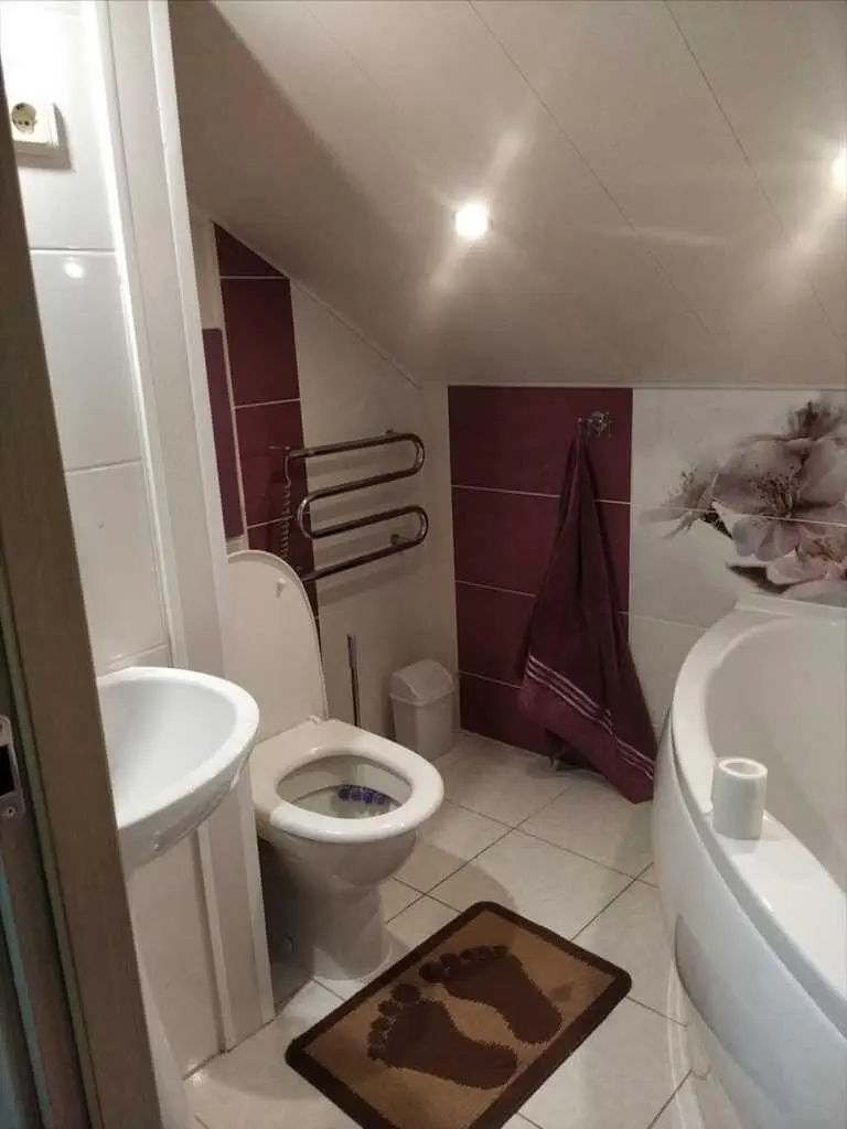 Річка, ліс, тиша та наш будинок!