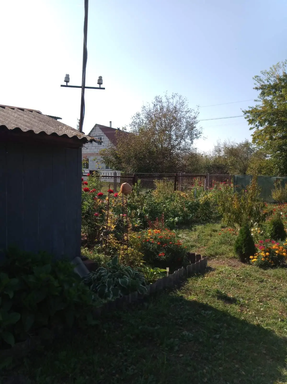 Облагорожена дачна ділянка з садовим будинком! 