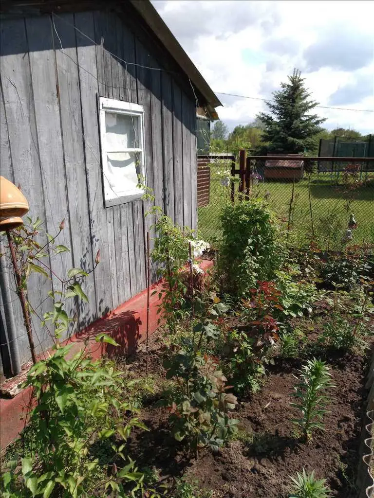 Облагорожена дачна ділянка з садовим будинком! 