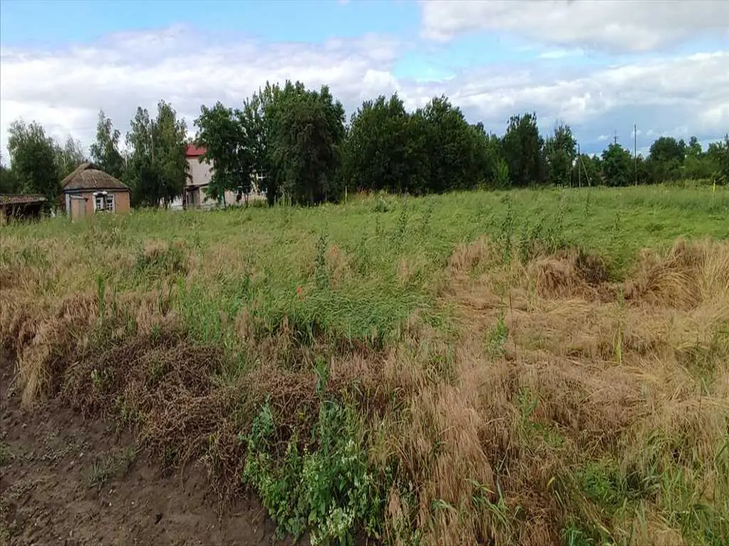 Найкраща інвестиція на сьогодні - це купівля землі! 