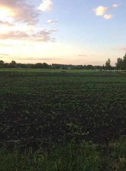 Побудова з земельною ділянкою в Селещині