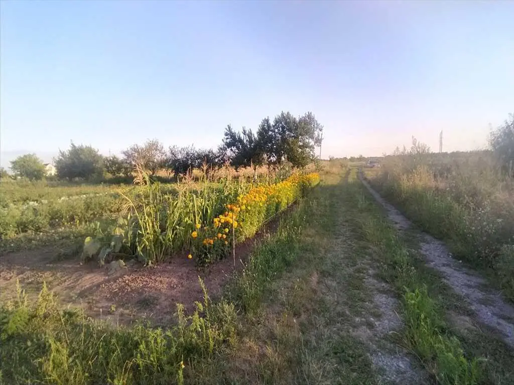 Чудова ділянка під забудову в Шостаках