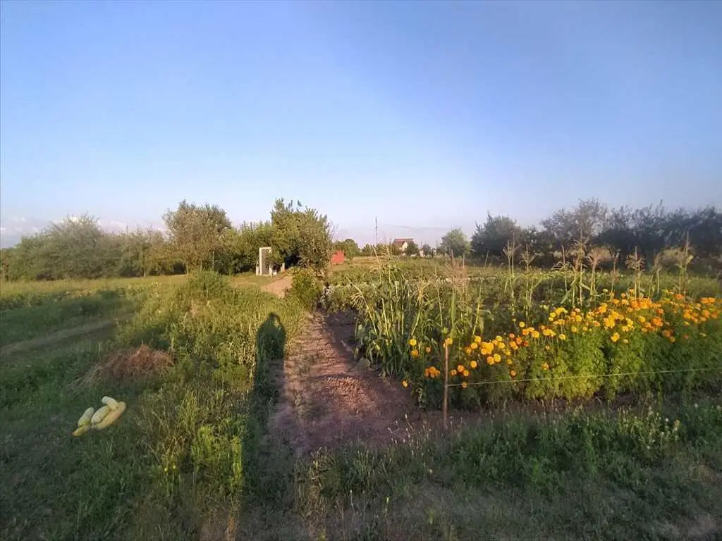 Чудова ділянка під забудову в Шостаках