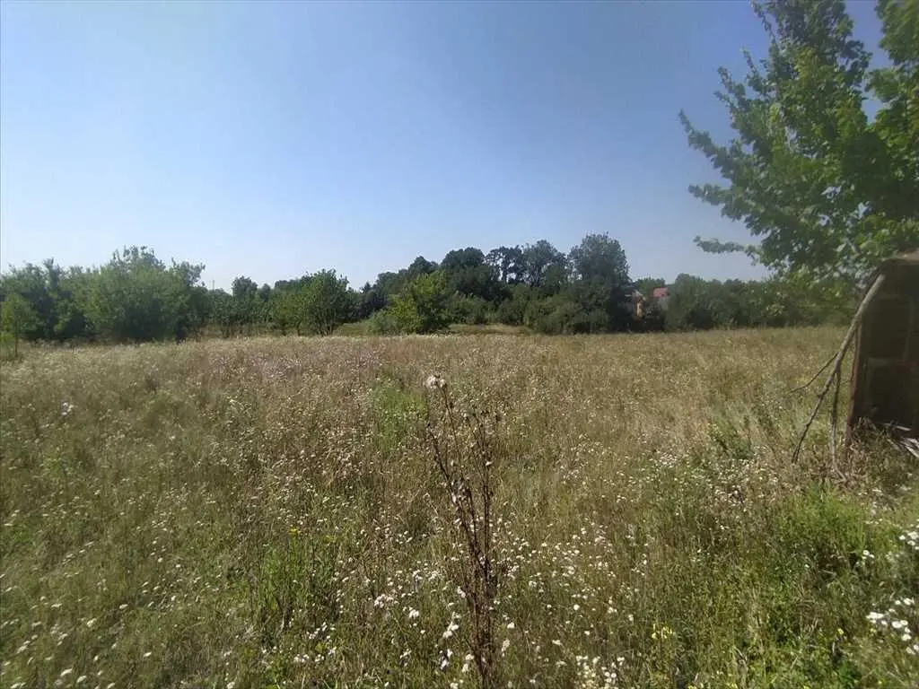 Земельна ділянка в Івашках