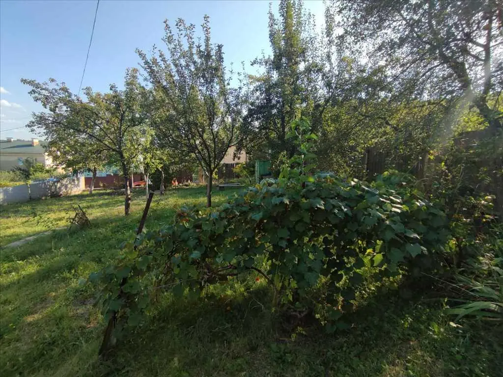 Чудова дача в Патлаївці!