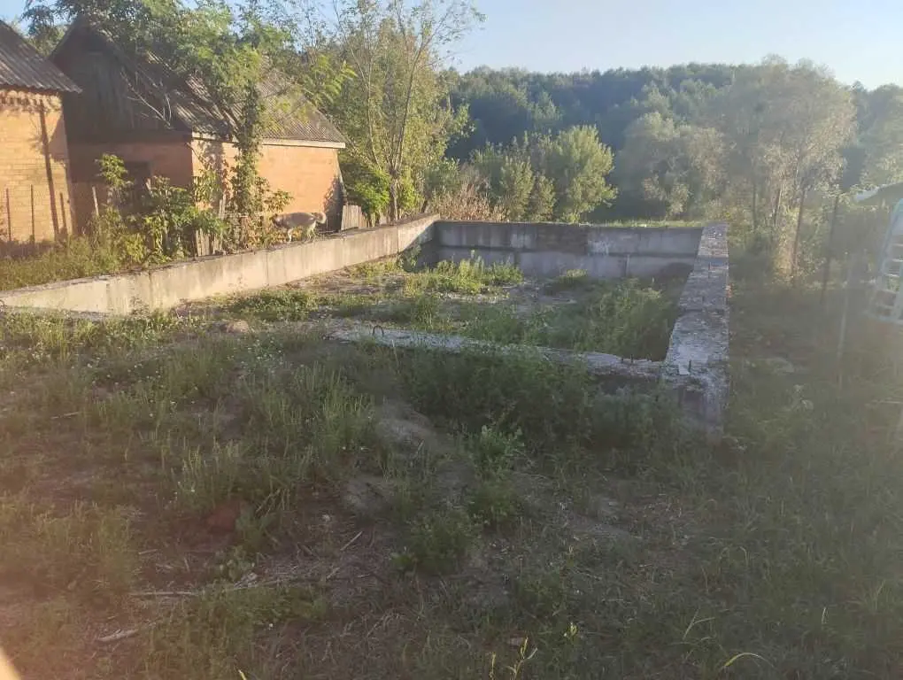 Ділянка з видом на ліс! 