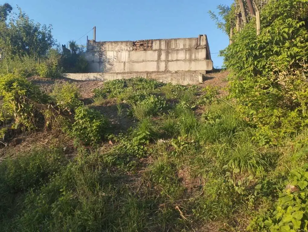 Ділянка з видом на ліс! 