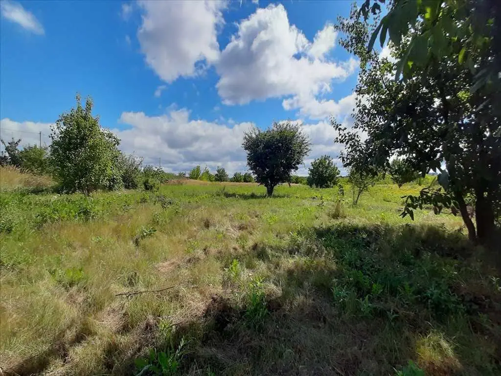 Розкішна ділянка в Рибцях!