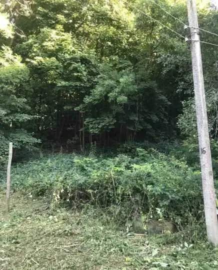  Пропонуємо вашій увазі земельну ділянку 10 соток у селі Петрівка