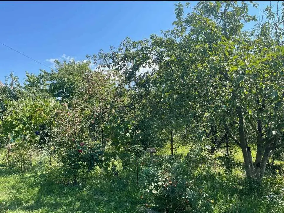 Гарний компактний будинок у Нових Санжарах.