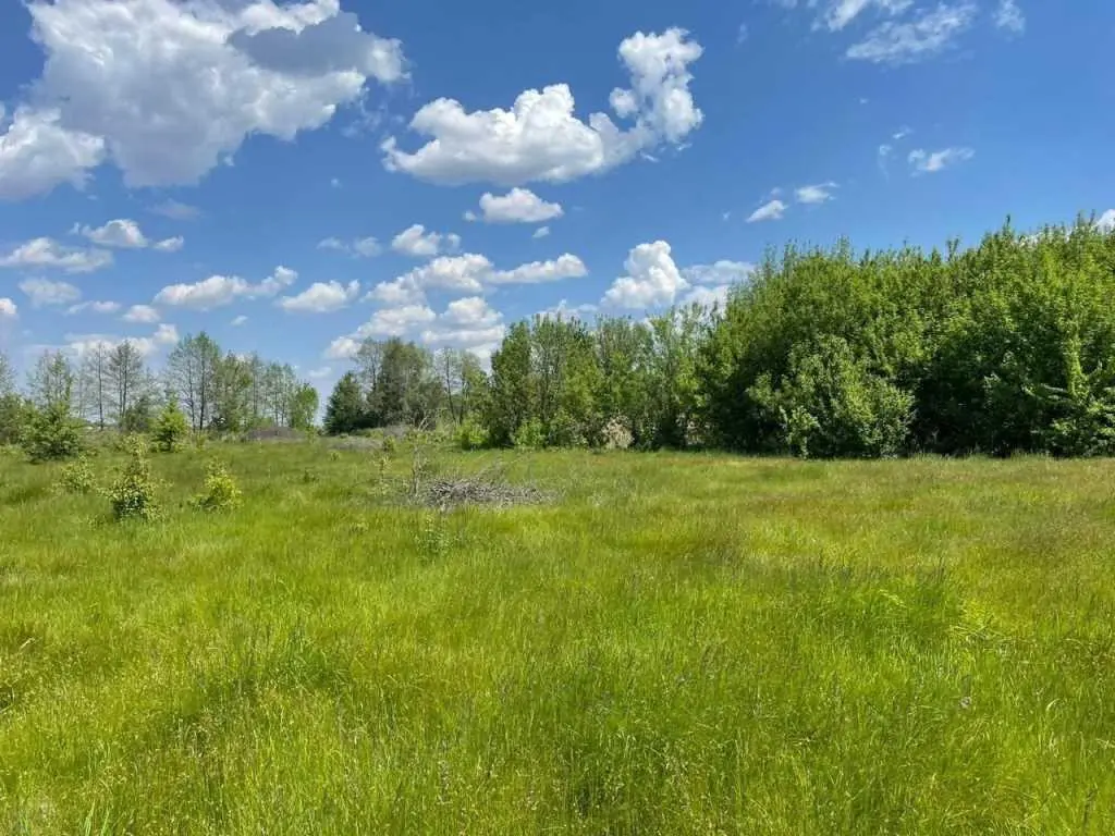 Велика земельна ділянка для бізнесу біля річки та хвойного лісу!