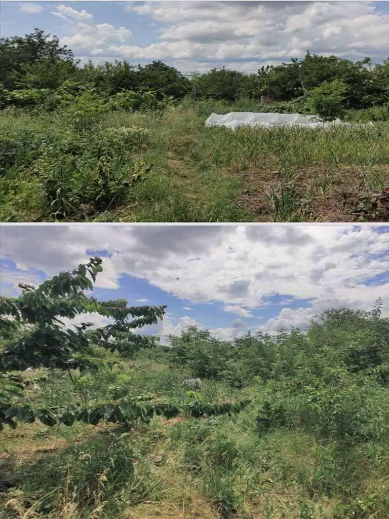 Чудове місце для Вашого будинку! 