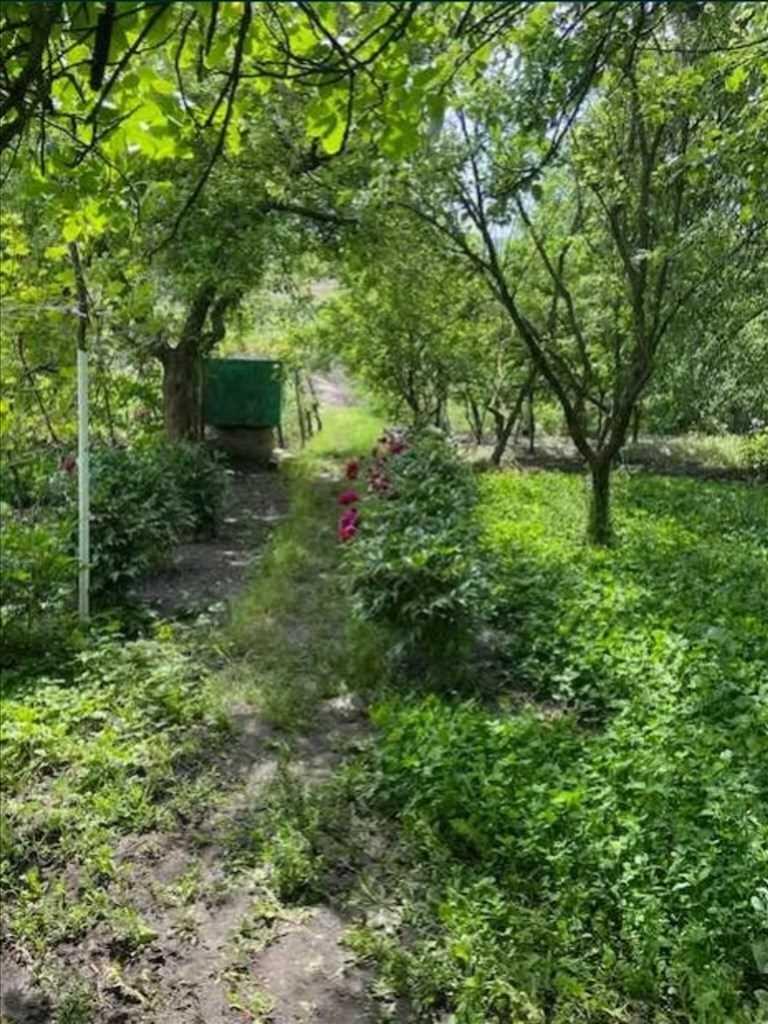  Дача у с. Циганське 