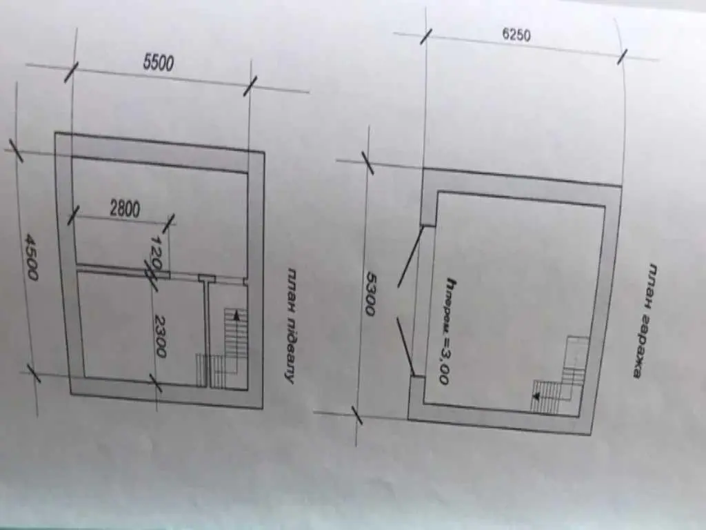 Гараж з великим потенціалом на Браїлках!