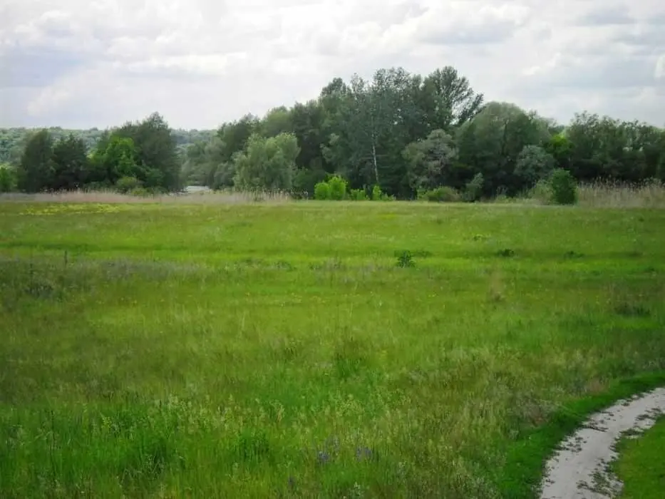 Продається чудовий будинок 25 км від м.Полтава