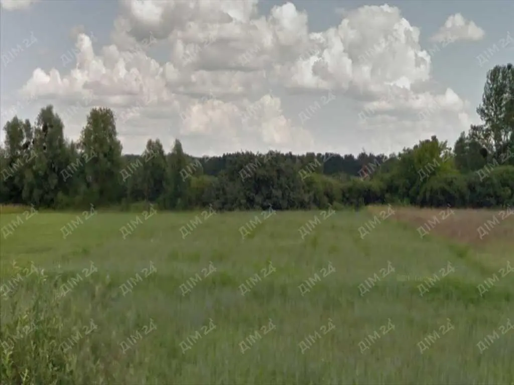 Земельна ділянка в с Патлаївка.