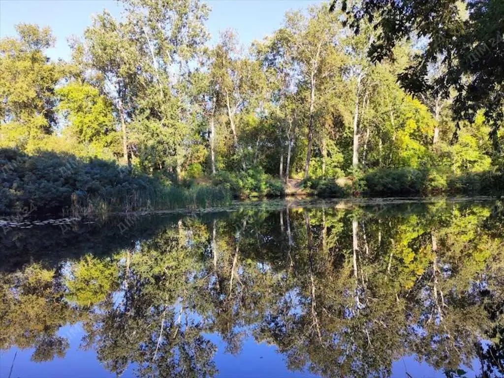 Земельна ділянка в с Патлаївка.
