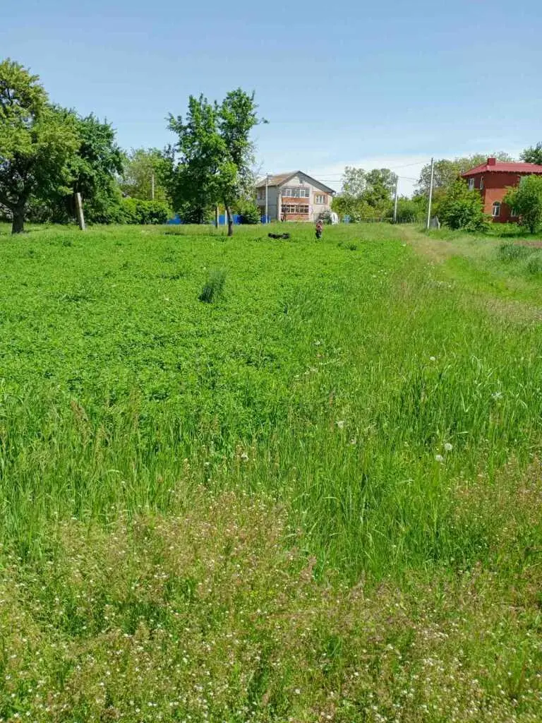  Пропонуємо вашій увазі земельну ділянку  в с. Тахтаулове