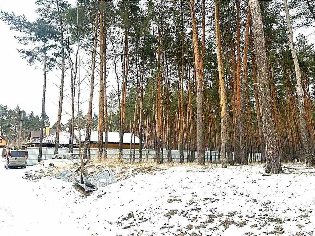 Елітна ділянка в сосновому лісі!