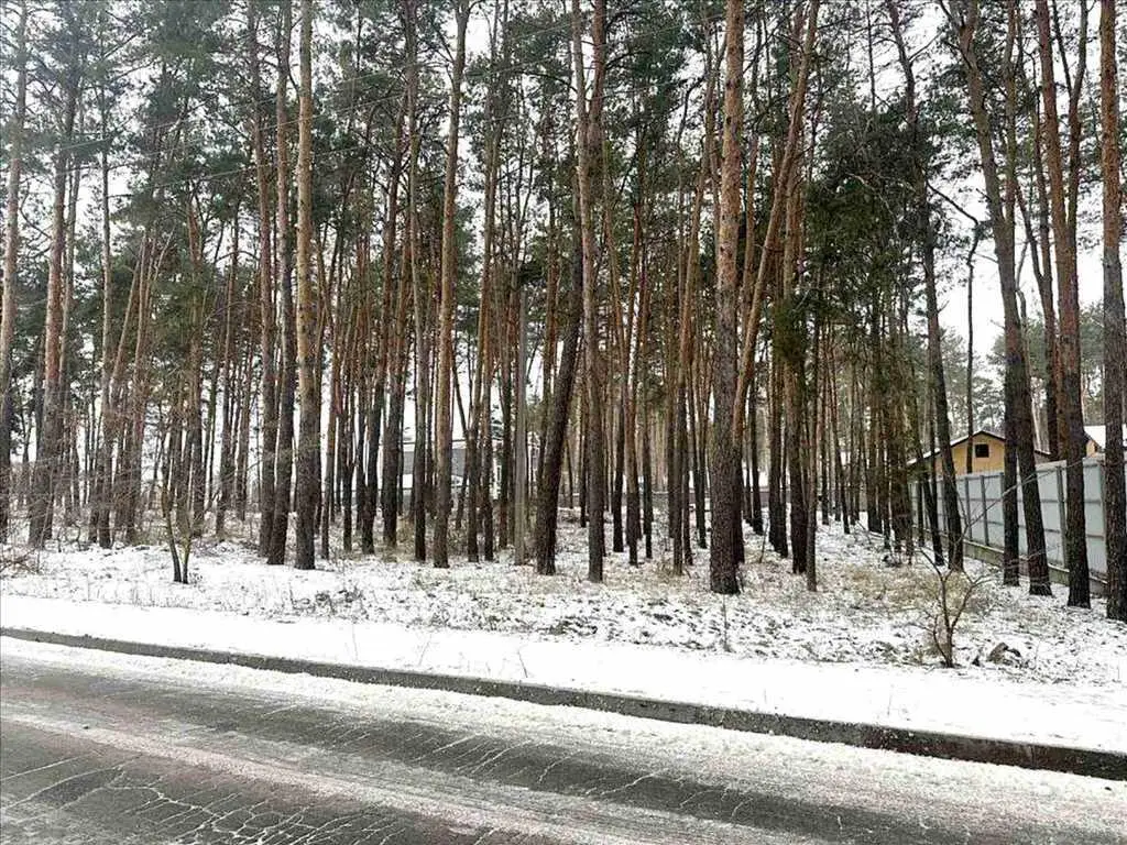 Елітна ділянка в сосновому лісі!