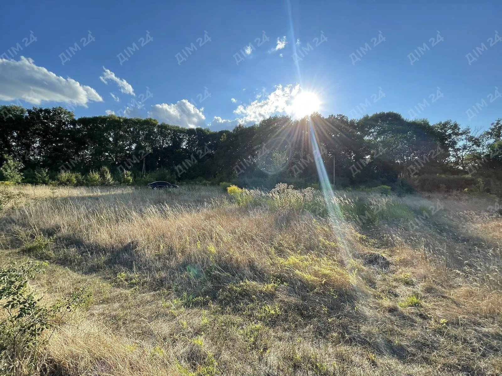 Найкраща цінова пропозиція на ділянку в м. Полтава.