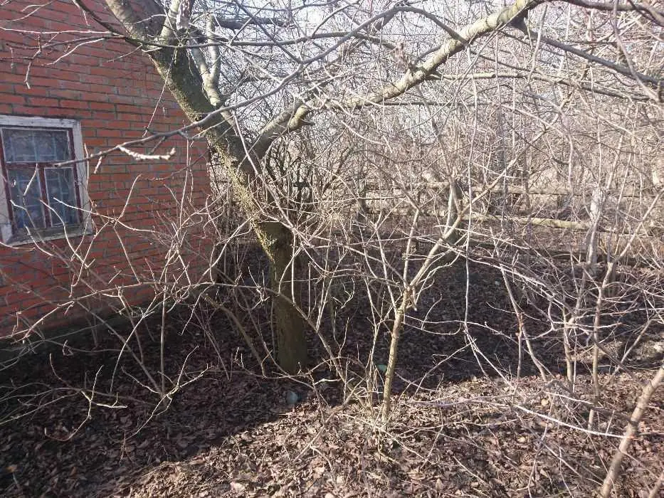 Земля під забудову