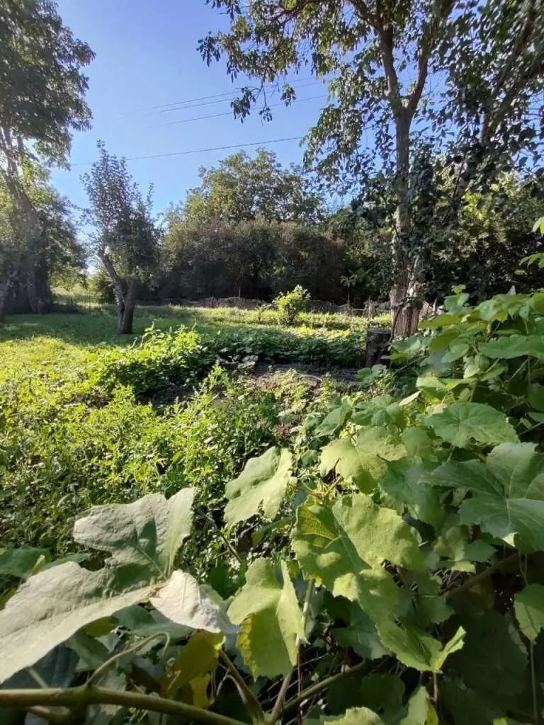 Будинок у с. Соломахівка 