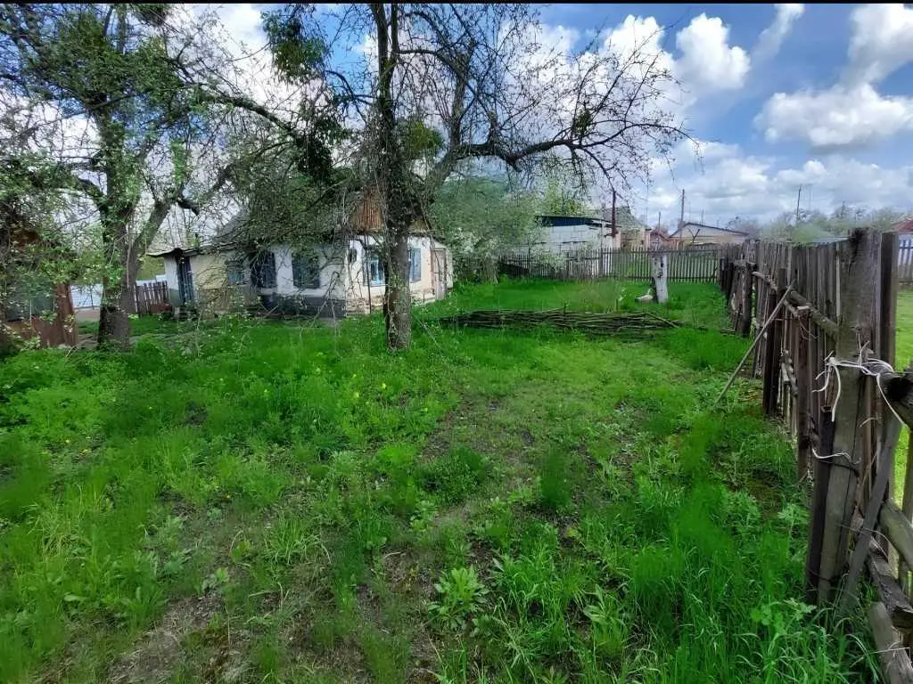 Будинок на Кртуому березі