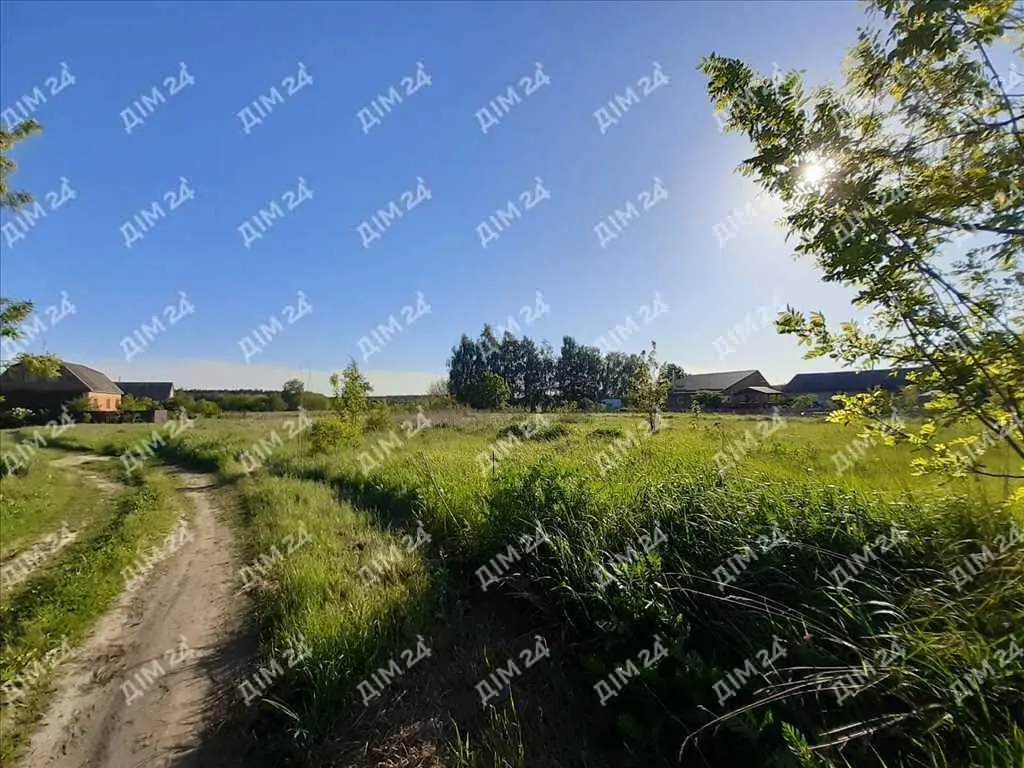 Ділянка в центрі с.Микільське.