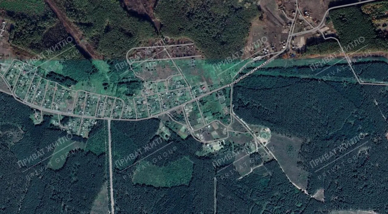 Продаж ділянки поруч із сосновим лісом