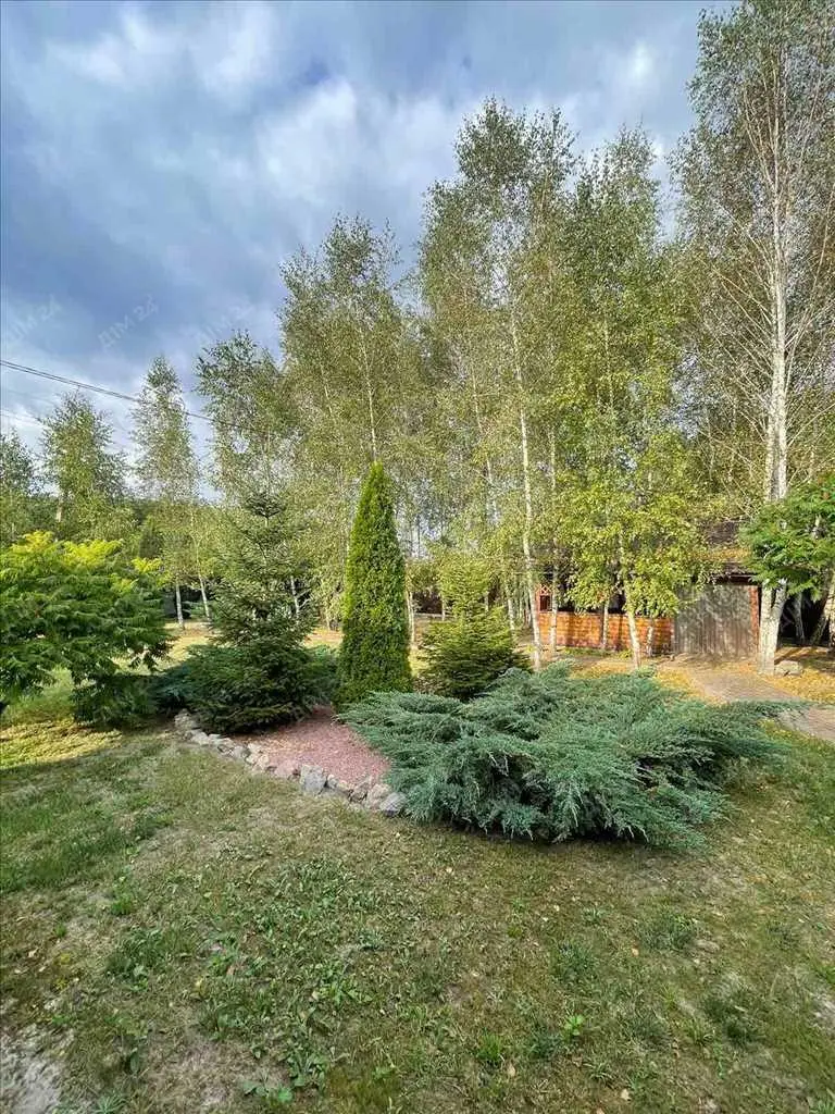 Унікальний будинок із зрубу в передмісті Полтави (Клюшники)