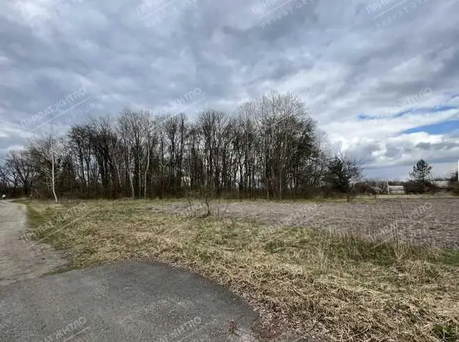  Пропонуємо Вам земельну ділянку загальною площею 36 соток в с. Олепіри.