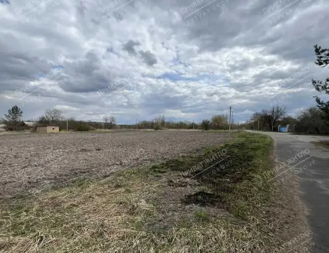  Пропонуємо Вам земельну ділянку загальною площею 36 соток в с. Олепіри.