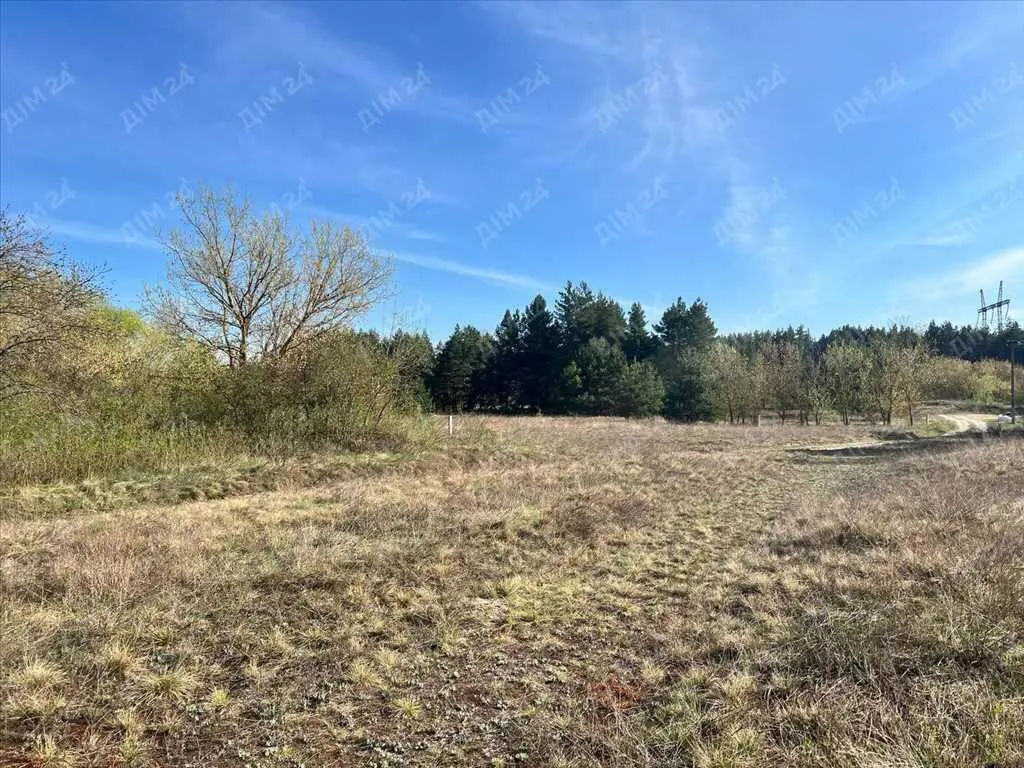 Земельна ділянка з виходом в ліс!