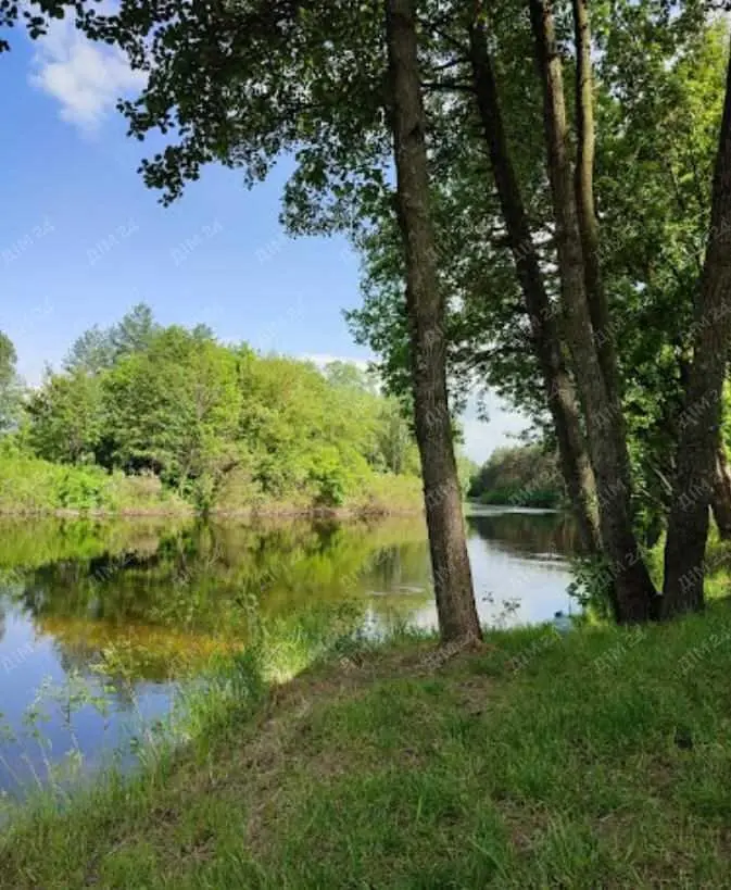 Ділянка в с.Глоди