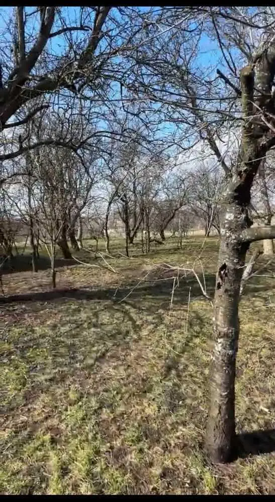 Велика ділянка з будинком в 4 км від міста!