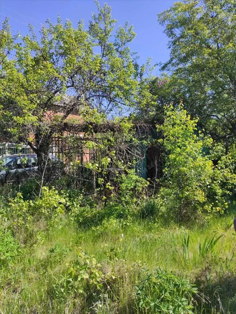 Дачна ділянка біля річки.