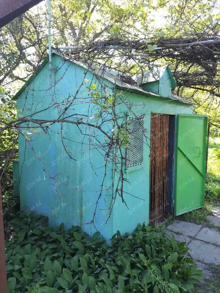 Дачна ділянка біля річки.