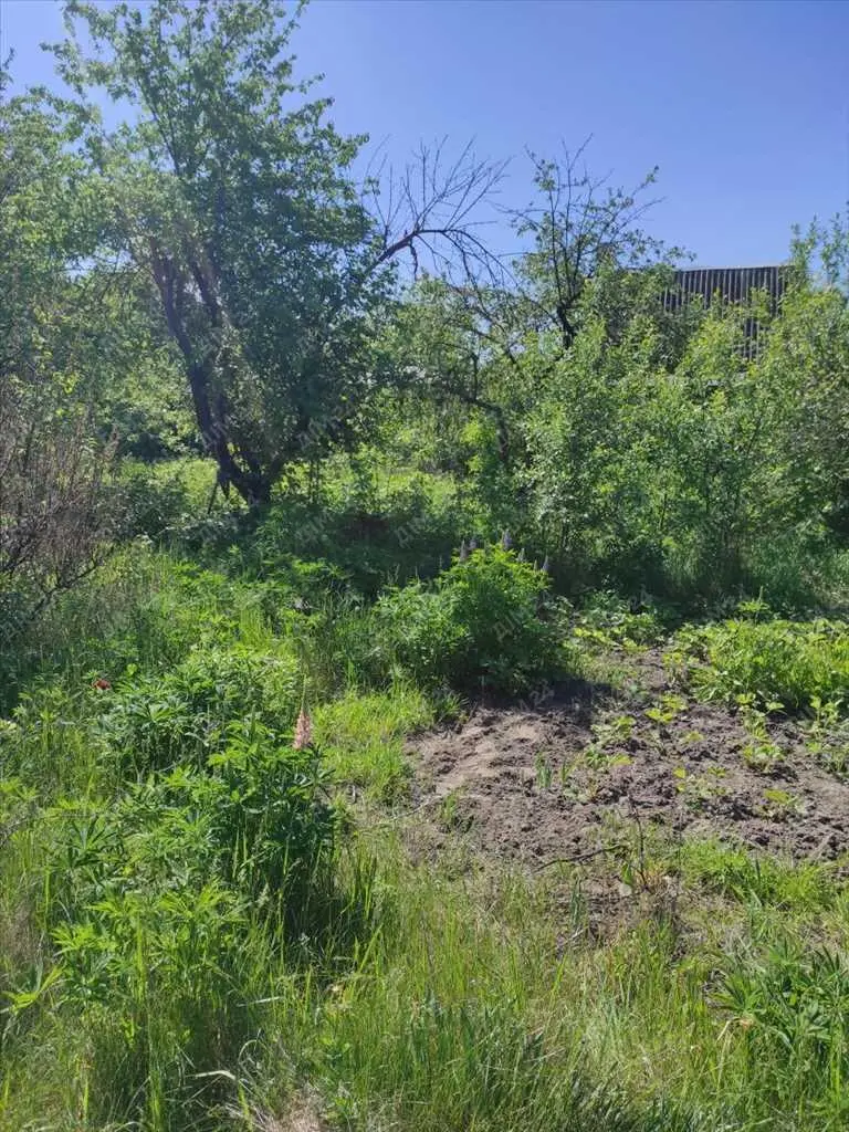 Дачна ділянка біля річки.