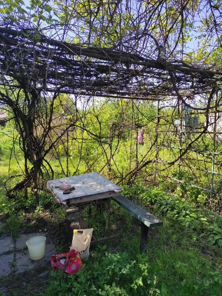 Дачна ділянка біля річки.