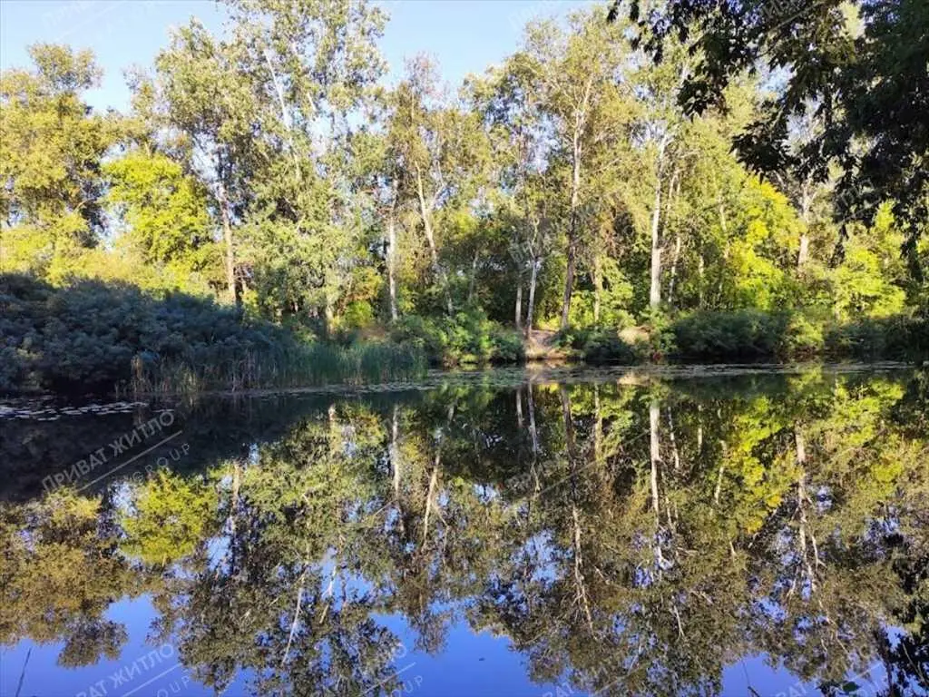 Дачна ділянка біля річки.