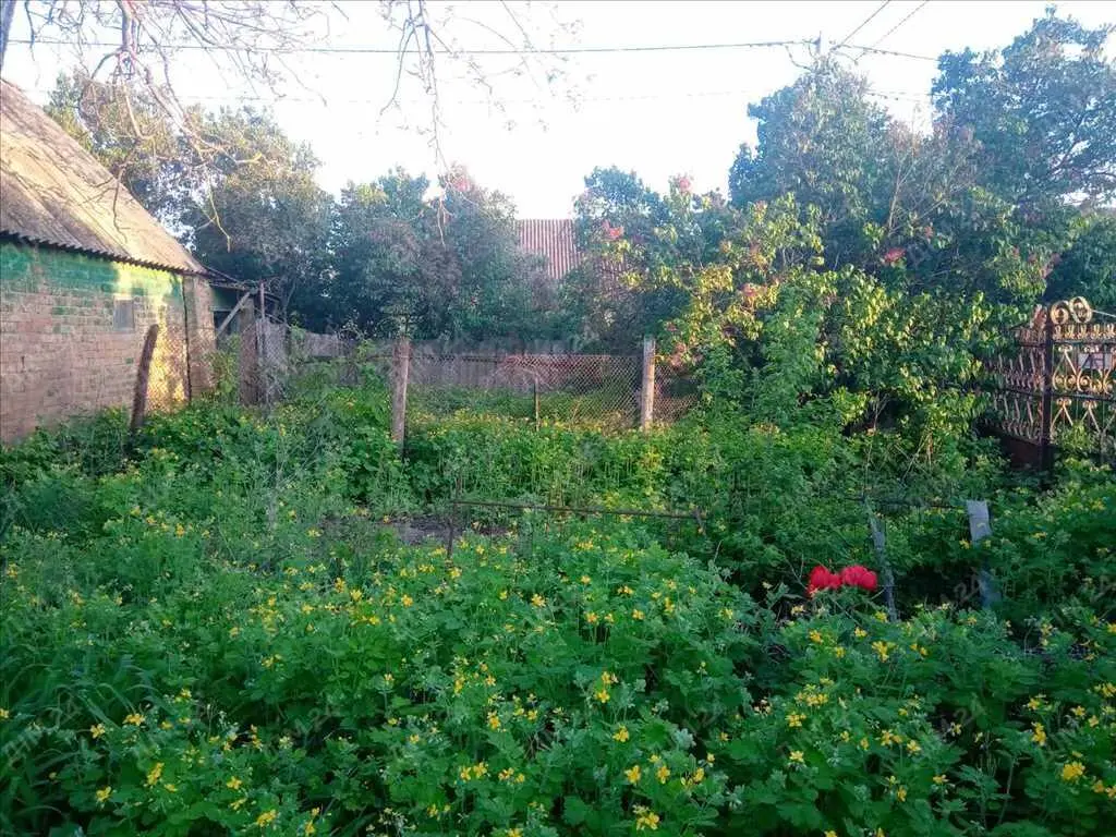 Тахтаулове. Гарна локація для будівництва сучасного будинку.  