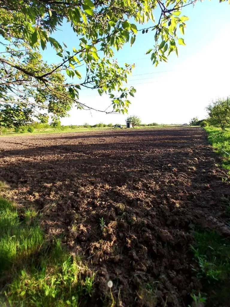 Продаж ділянки в Мачухах 